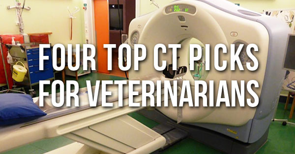 The Four Best CT Scanners for Veterinarians